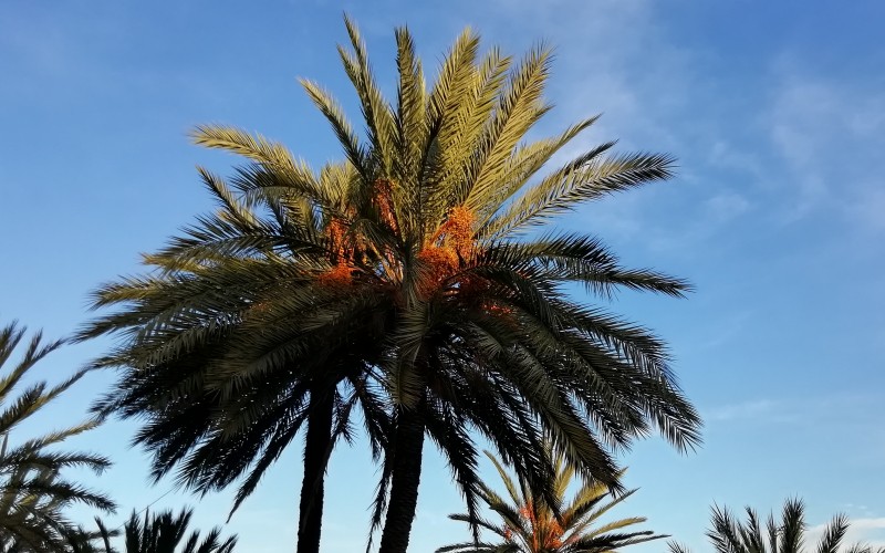 Beodo en verder 48.jpg