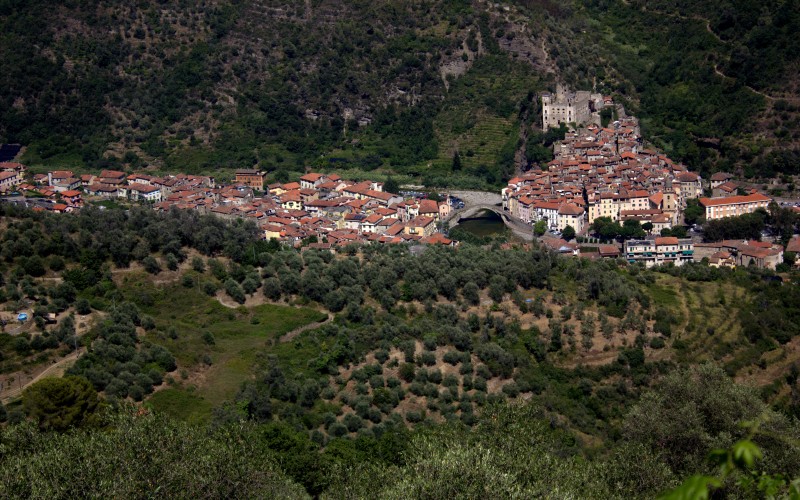 Dolceacqua borgo e terra.jpg