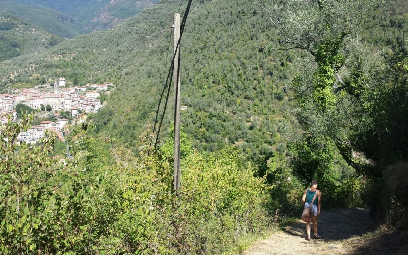 wandelen eenvoudig.jpg