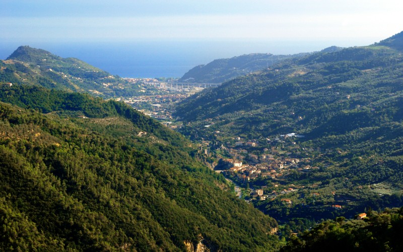 foto 1.JPG