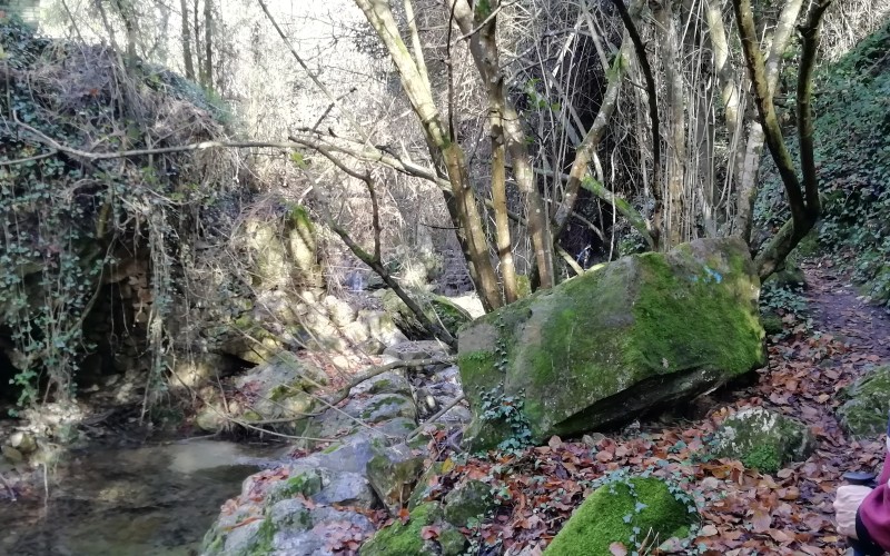 Beodo en verder 35.jpg