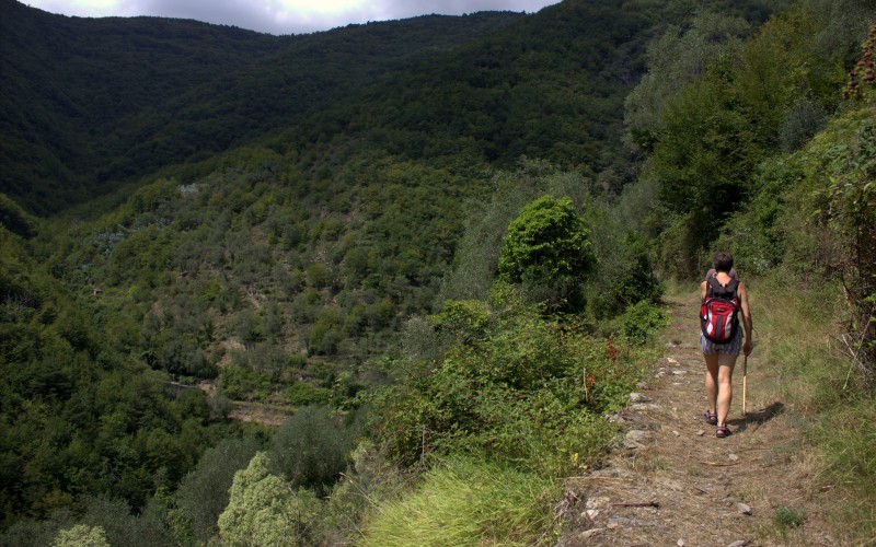 nog meer wandelen.jpg